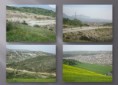 /album/rancho-san-isidro/fotos-2-jpg/